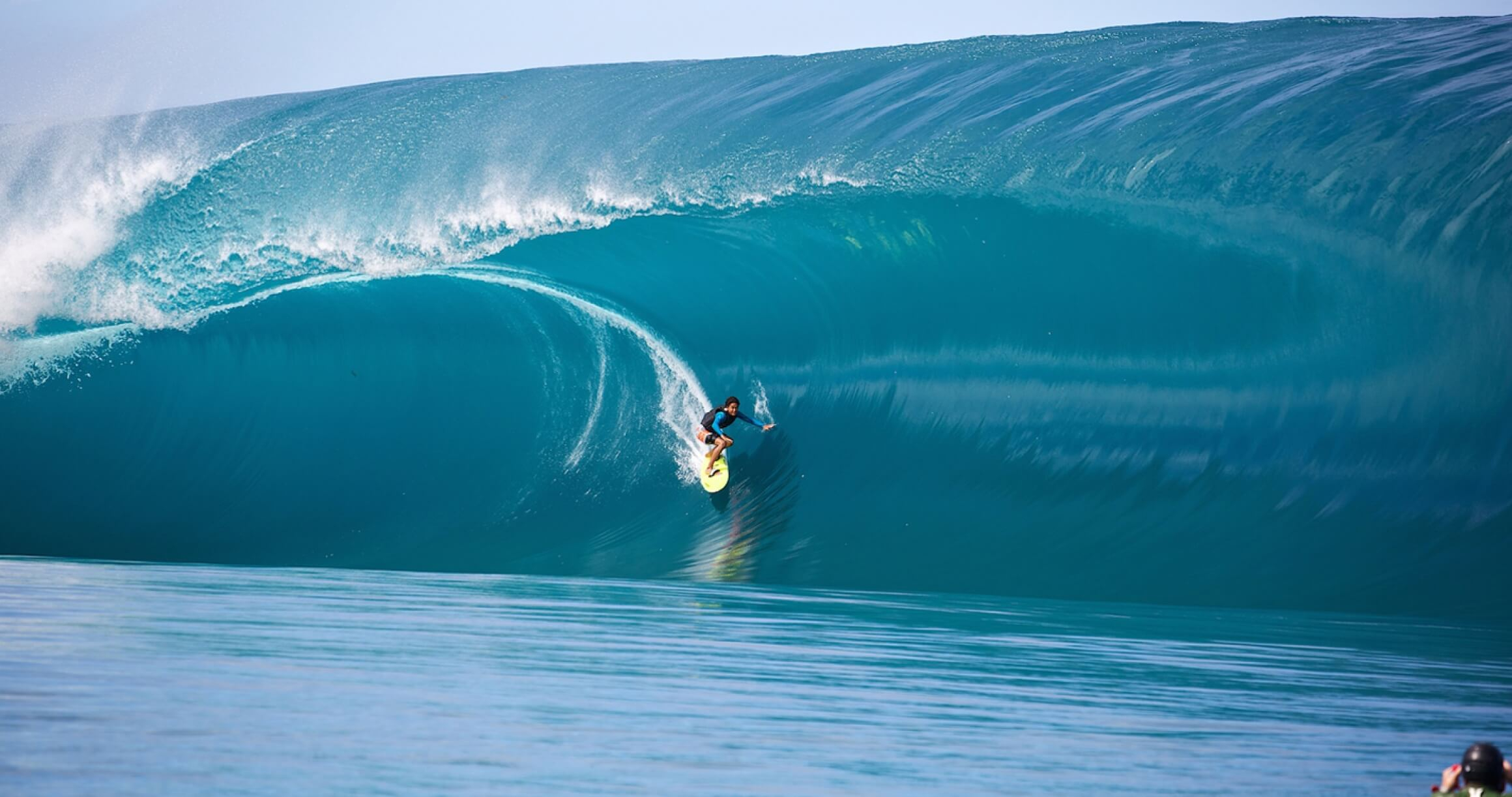 DYLAN SURFBOARDS FOR SALE Free Shipping & Best Price Guarantees