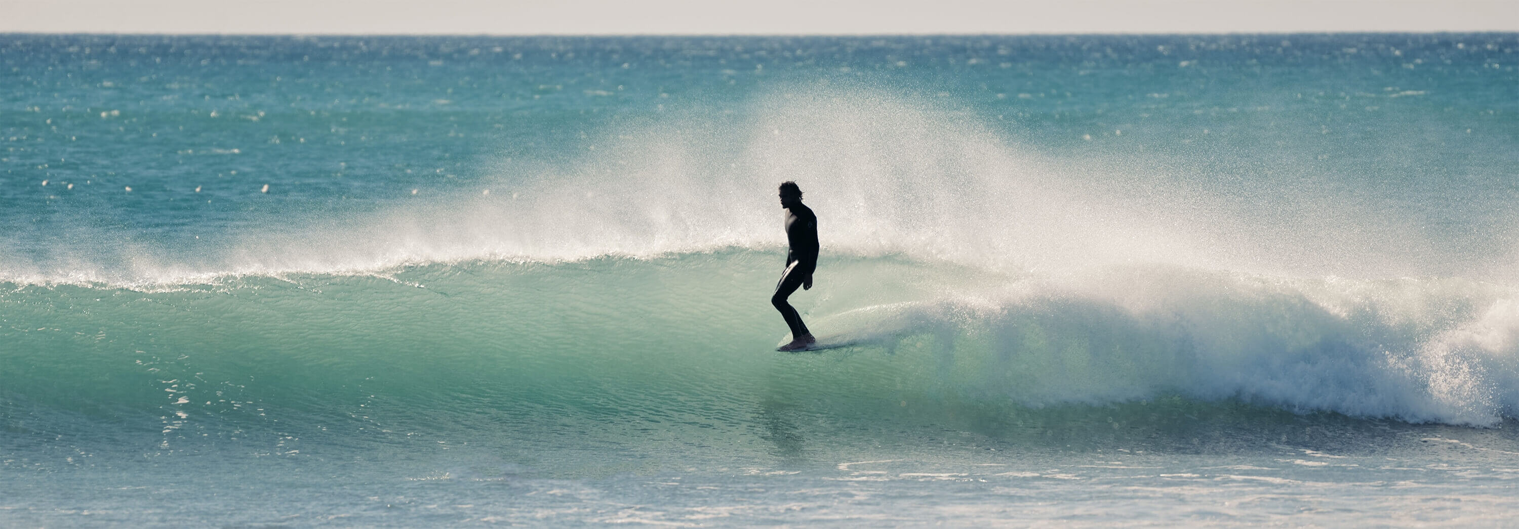 CAPTAIN FIN CO Surfboard Fins and Surf Accessories For Sale Free