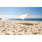 //Ozoola-Beach-Life-peachy-beach-tent-1.jpg
